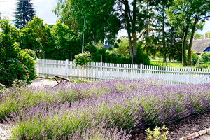 Victor`s Farmhaus - 6-Pers. App. - Vorgarten