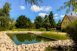 Reetdachhäuser Krienke - Schwimmteich und Gartenanlage