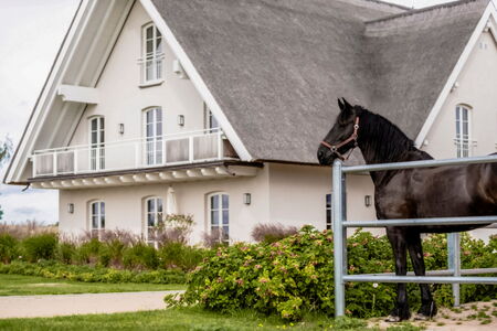 Lerchenhof Reestow - Außenansicht Haus Lerche