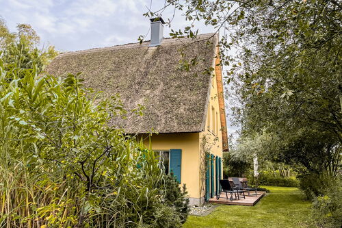 Reetdachhaus Storch - Außenansicht und Terrasse/Garten